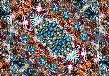 Epic喜加一：《密林传奇》《沉默年代》免费领取